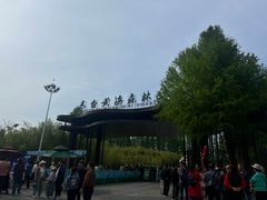 -黄海国家森林公园