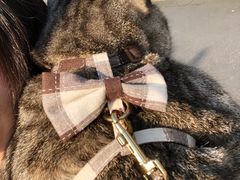 -佳雯宠物医院(金华南路分院)