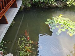 -中国茶叶博物馆(双峰馆区)