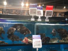 -盒马鲜生(曜一城店)
