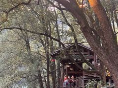 -巴倒烫陆派重庆火锅(南山店)