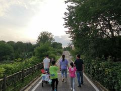 -武汉紫薇都市田园