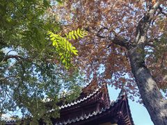 -灵岩山风景区