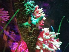 -沈阳海洋探索中心