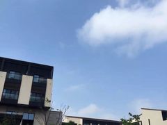 金茂凯悦酒店-上海崇明金茂凯悦酒店