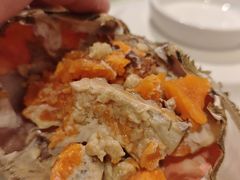-朝郡酒家·粤菜(燕大星苑店)
