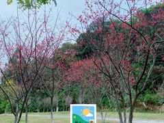 -火炉山森林公园