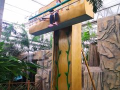 -南宫五洲植物乐园