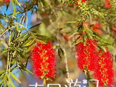 -广东省博物馆