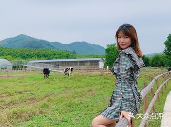 媲美南法风光,趁秋天去田园牧场喂牛羊赏秋光