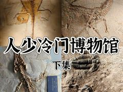 -中国地质博物馆