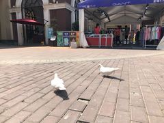 -王府井奥莱临潼小镇(临潼店)