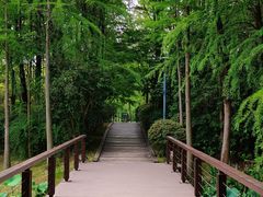 -长广溪湿地公园