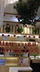 -芳朵美容养生SPA