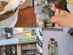 -吉丁鸟咖·异宠·寄养