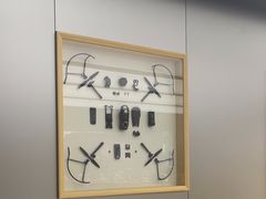 -DJI大疆(深圳华强北曼哈授权体验店)