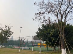 -张坝桂圆林公园