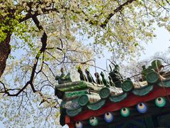-北京国子监胡同