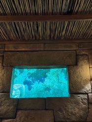 -翱翔飞越地平线