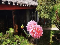 -玉水寨丽江源餐厅