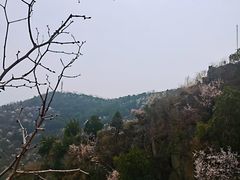 -北京鹫峰国家森林公园