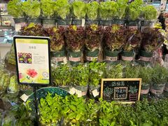 -Olé精品超市(沈阳万象城店)