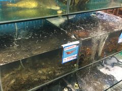 -范饭椰林川湘味海鲜·椰子鸡(三亚湾椰梦长廊店)
