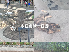 -西园寺
