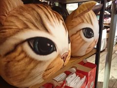 -猫咪博物馆(顶澳仔猫街店)