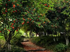 -日出青木·杭帮菜名店
