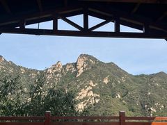 -大岭沟猕猴桃谷风景区