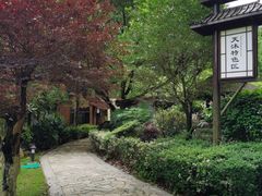 -明月山天沐温泉度假村