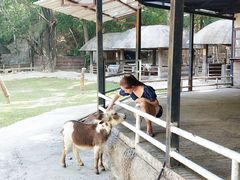 -清迈夜间动物园