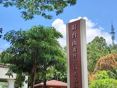 -阳台山森林公园