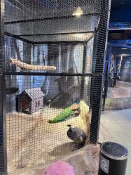 -酷嗒动物文化乐园(cutezoo西溪乐天城店)