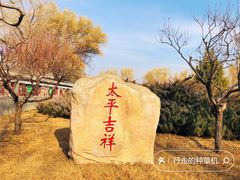 -莲花池公园