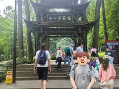-青城山