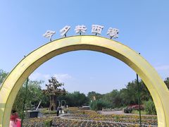 -西溪国家湿地公园