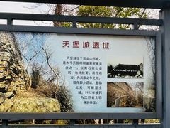 -紫金山天文台