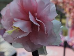 -上海来福士广场-停车场