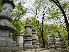-天津盘山风景名胜区