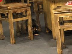 -重庆老火锅王(西安北路店)