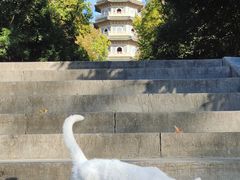 -灵谷景区
