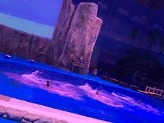 -华夏文旅海洋公园