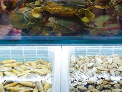 -十面欢腾·海鲜面·台式Bistro(长乐路店)