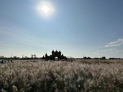 -红海滩国家风景廊道