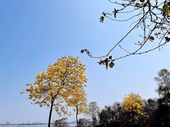 -广州莲花山旅游区