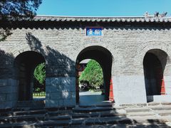 -蓬莱仙岛