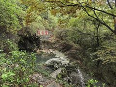 -宁波市保国寺古建筑博物馆