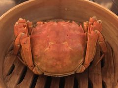 -上海大酒店(南京东路店)